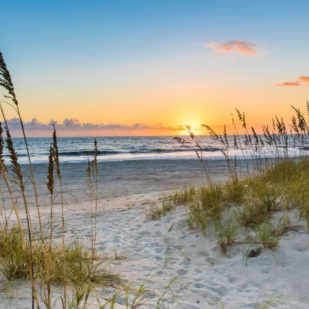 SpringHill Suites Amelia Island