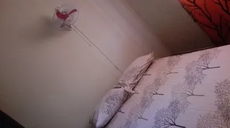 Bright and Youth Condo with Hot Water Отели рядом с достопримечательностью «Маяк Колумба»