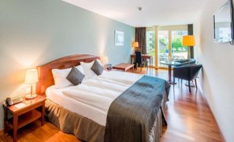 Hôtel Rallye & Bains de la Gruyère - Bulle