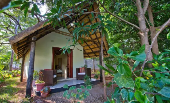 Mose Street Apartments Hotels in 