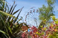 Bramble Cottage - Dog Friendly Cottage with Hot Tub Hotels in Kilgetty