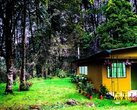 River Nest Lodge Costa Rica Hoteles en Copey