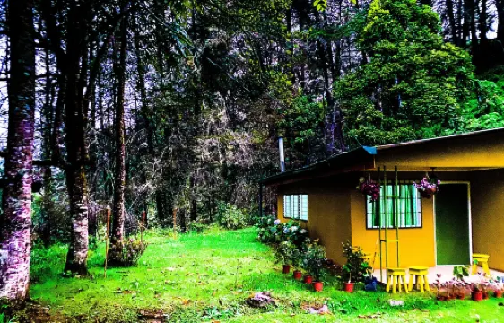 River Nest Lodge Costa Rica