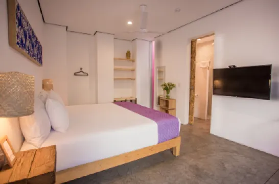 Hotel Mamá Carlota โรงแรมใน