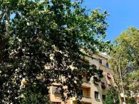 4VaticanRooms Hotels near Trionfale
