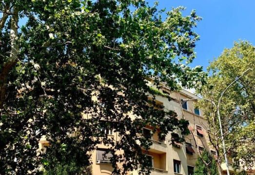 4바티칸룸스 외관 또는 근처 바티칸 거리