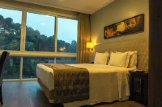 Prodigy Gramado by Wish