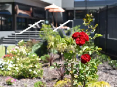 The Branksome Hotel & Residences Hotels in Mascot