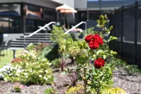 The Branksome Hotel & Residences Hotels in Sydney Airport