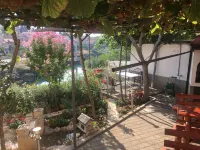 Guest House City Star