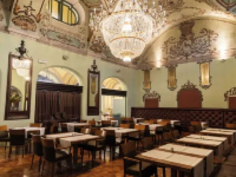 Hotel Balnea Superior - Terme Krka Hotels in Novo Mesto