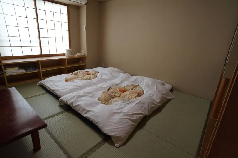 أنيكس كاتسوتارو ريوكان