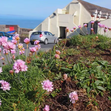 Hartland Quay Hotel