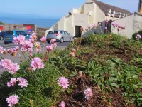 Hartland Quay Hotel Hotels in der Nähe von The Milky Way Adventure Park