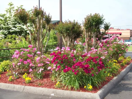 Quality Inn Clinton-Knoxville North Отели рядом с достопримечательностью «ТУРА Клинч Ривер Аксесс»