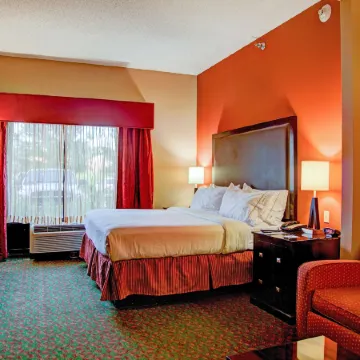 Holiday Inn Express & Suites TYLER SOUTH by IHG