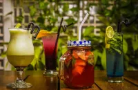 Goldfinch Hotel Mumbai - Baarit