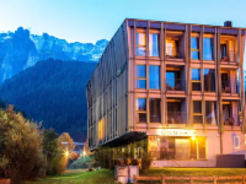 Mountain Design Hotel Eden Selva Hotels in Selva