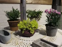 Wonderful Country House with Huge Garden - Wifi
