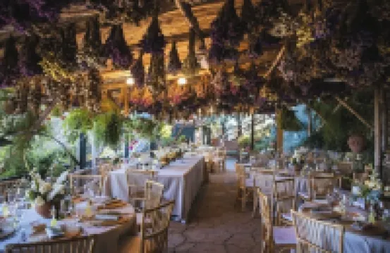 Agriturismo Fattoria Terranova