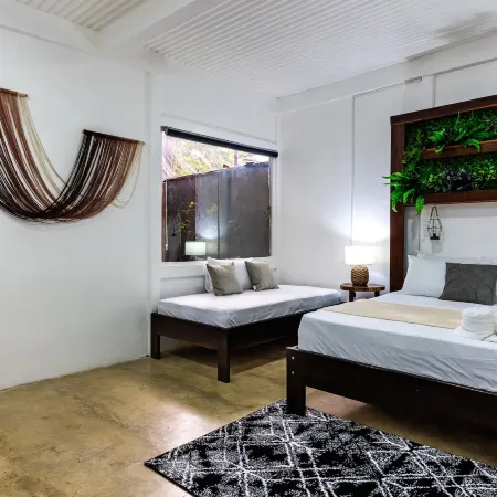 El Deseo Serendipity Hotel Отели в г. Колорадо