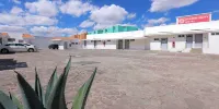 Opportunity León Các khách sạn ở 