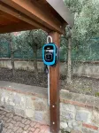 La Folaga del Trasimeno