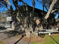 Waiake Beach Apartments Hotels in Orewa