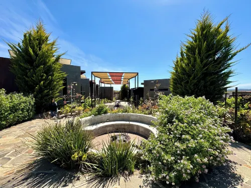 Entre Vides Valle de Guadalupe