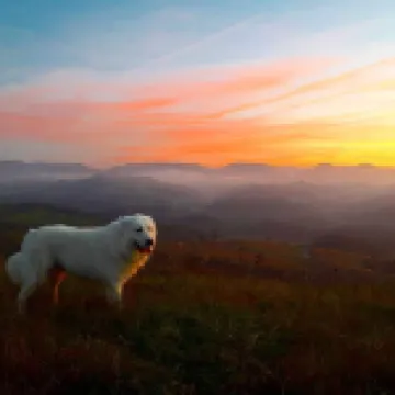 Agriturismo Il Melo Rosso