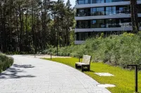 Olivo Komfort i Skandynawski Design Blisko pla y