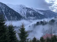 Ayder Dağ Evi Hotels in Yukarışimşirli