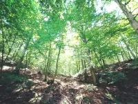 Tiny apartment in a quiet location near the North Eifel National Park