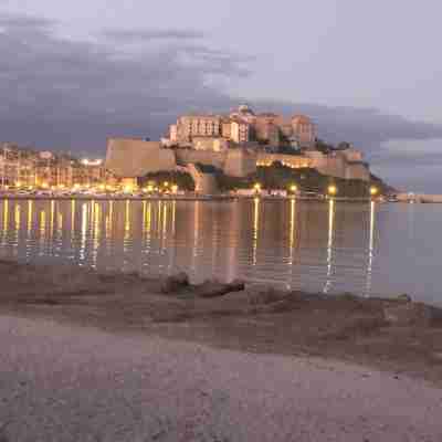 Spacious apartment a stone's throw from the beach and center of Calvi Others