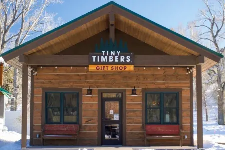 New pet-friendly, gorgeous cabin with AC and WiFi at Tiny Timbers Resort