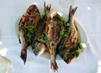 Linda apartment with terrace overlooking the sea, a stone's throw from the beach, garden