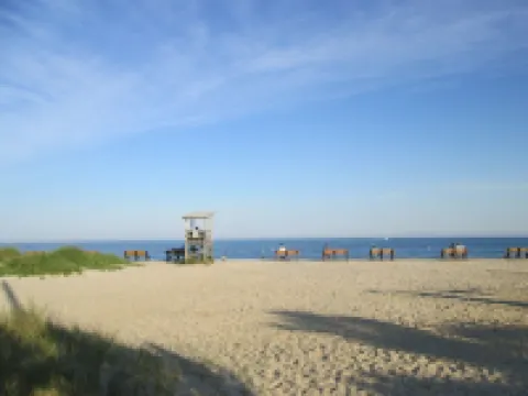 78 Seaview Ave, rear unit. Big Private Yard, 10 Minute Walk to Beaches!