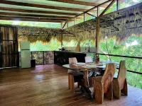 TreeTop Mansion, where the jungle meets the sea!