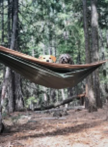 Cozy Log Cabin on 3 Acres Near Lassen Volcanic National Park