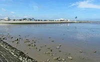 Relaxing vacation right on the canal with fishing opportunities