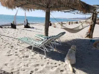 Wonderful Beach house on the Sea of Cortez