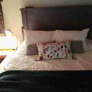 Trendy Capitol Hill, gorgeous modern loft. Private host. Rooms