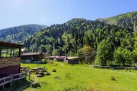 Ayder Palazzo Resort