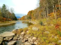 Black Bear Lodge - parking