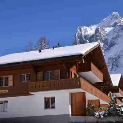 Hotel Kirchbühl Superior Hotel Exterior