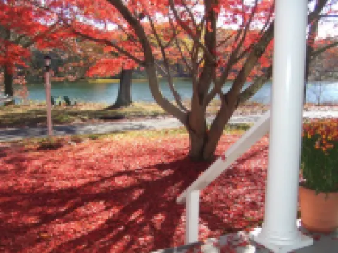 House on Chase Creek