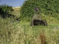 Valley View Farm Annexe