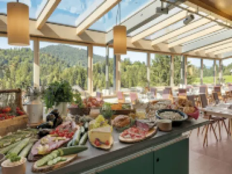 Hotel Oberstdorf Hotels in Oberstdorf