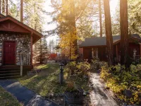 黑熊住宿加早餐旅館 鄰近Lake Tahoe Historical Museum的酒店