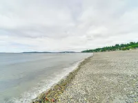 2 Blocks to Beach Park Cozy Seattle Townhome Hotels near West Seattle